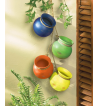 FIESTA DANGLING POTS