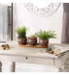 BROWN ROUND CERAMIC SMALL PLANTER SET OF 3