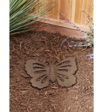 BUTTERFLY STEPPING STONE