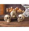 NO EVIL SKULLS