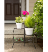 COUNTRY APPLE PLANT STAND